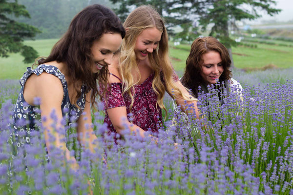 How to Prune Lavender