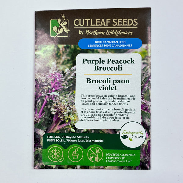 Broccoli, Purple Peacock Seeds