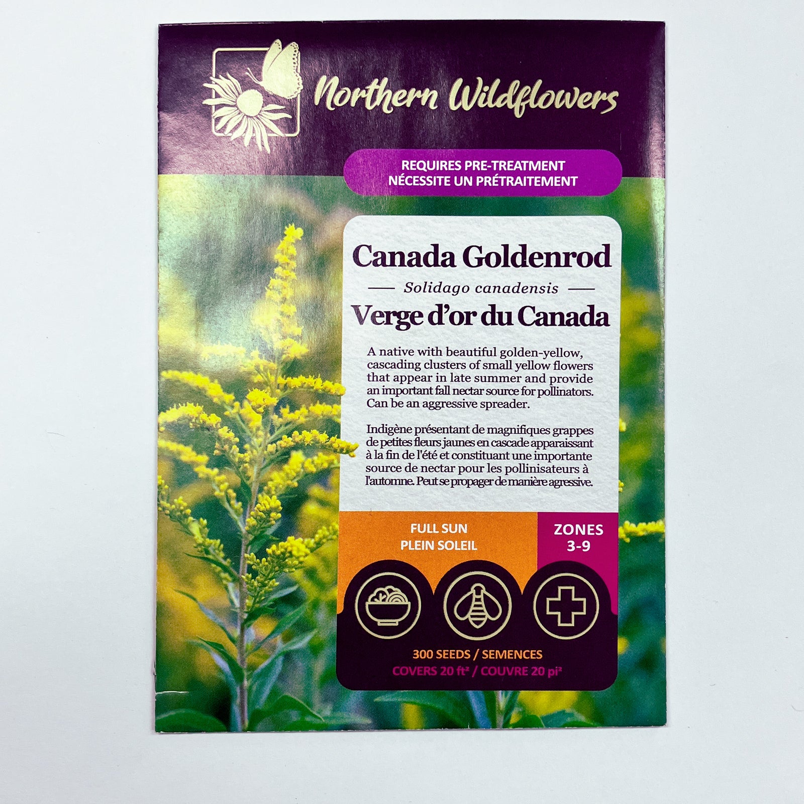 goldenrod flower seeds Canada Goldenrod Seeds – Seafoam Lavender