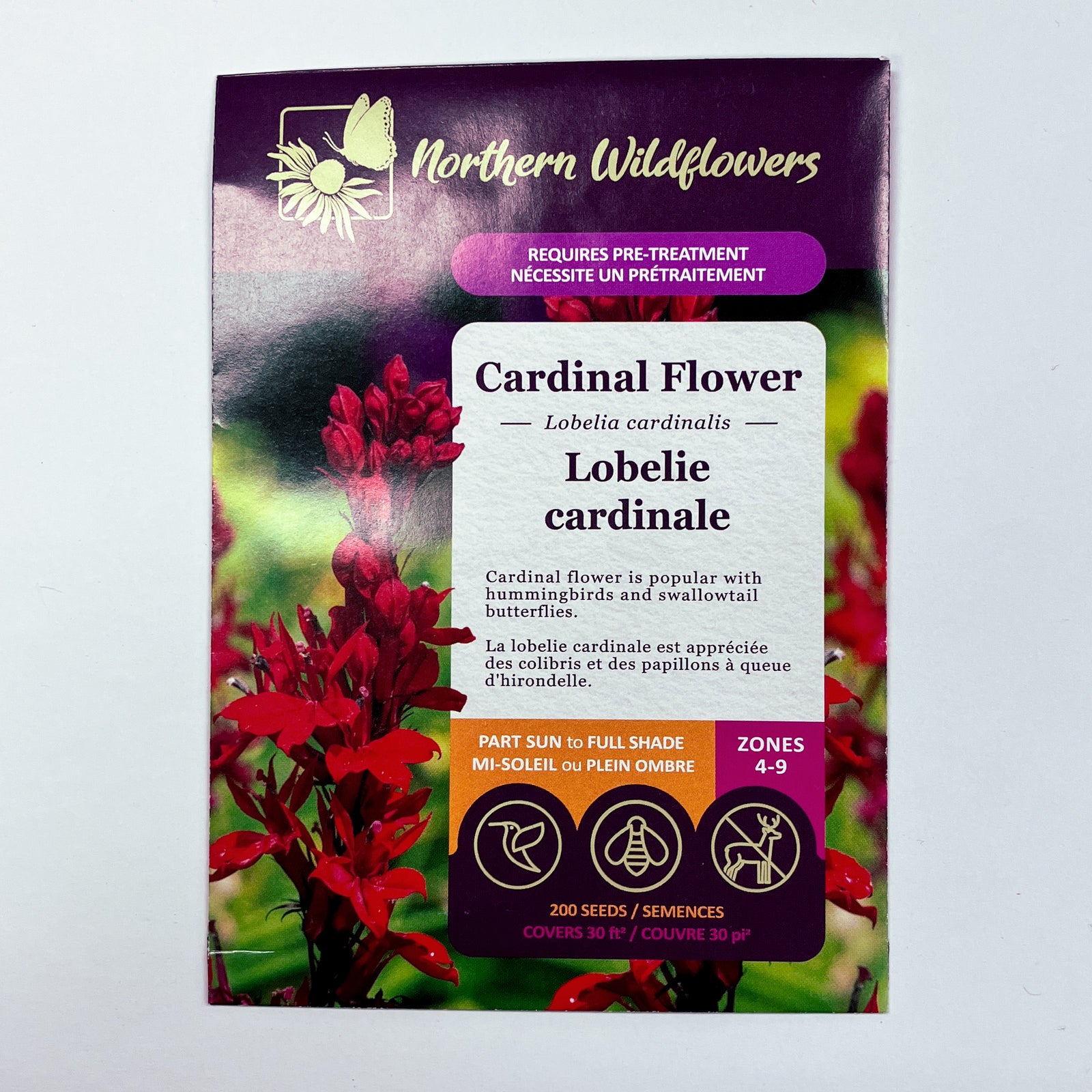 Cardinal Flower Seeds – Seafoam Lavender