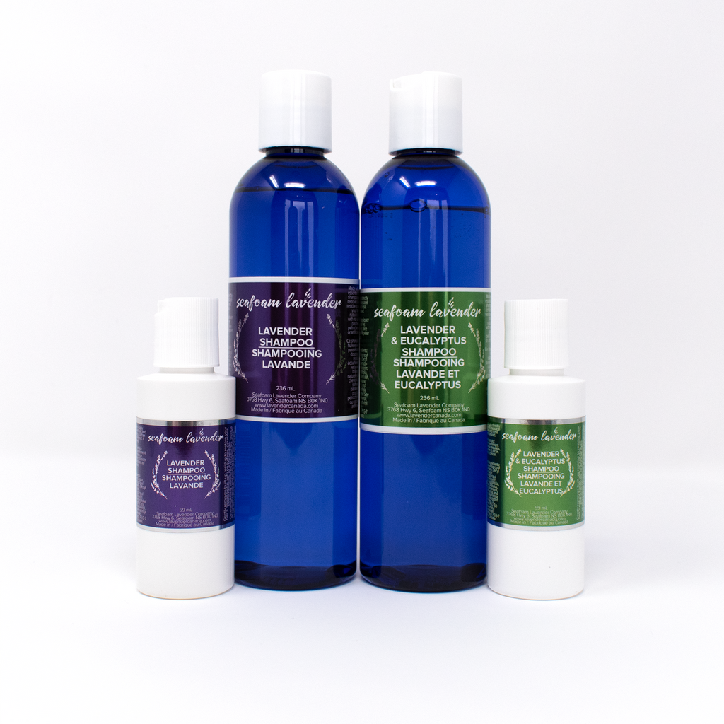 Shampoo – Seafoam Lavender