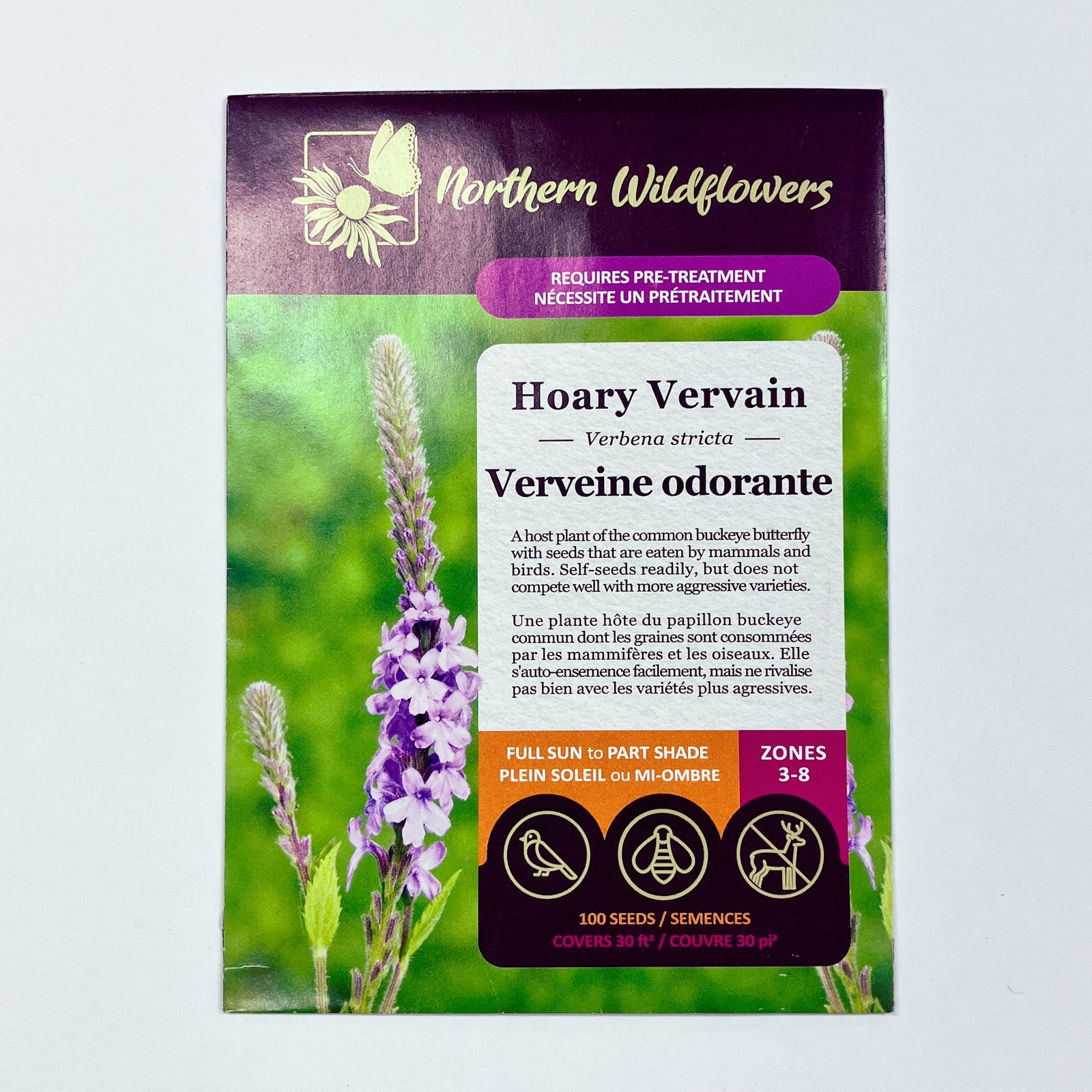 Hoary Vervain Seeds – Seafoam Lavender
