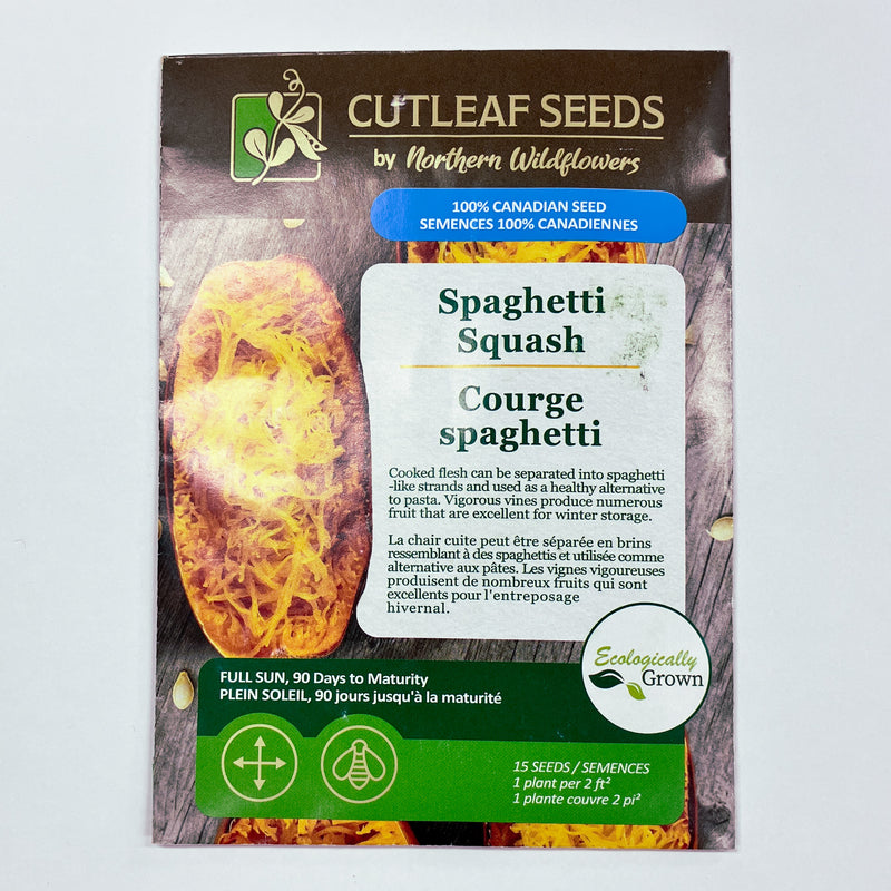 Squash, Spaghetti Seeds