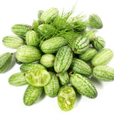 Cucamelon, Mexican Sour Gherkin Seeds