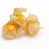 Ground Cherry Seeds