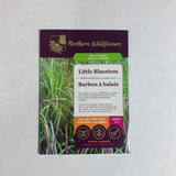 Little Bluestem Seeds