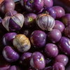 Tomatillo, Purplekeepers Seeds